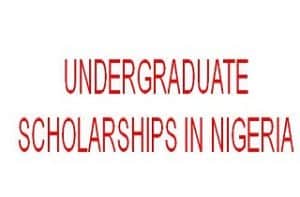 List Of Undergraduate Scholarships In Nigeria 2024/2025 » Servantboy