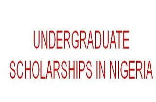undergraduate scholarship in nigeria