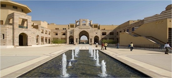 American university cairo