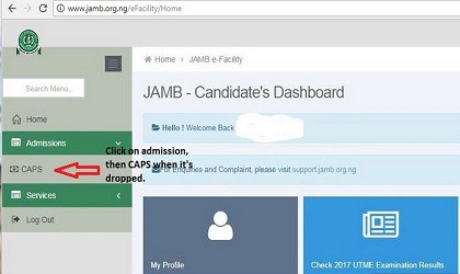 Image of jamb caps portal