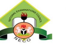NECO logo
