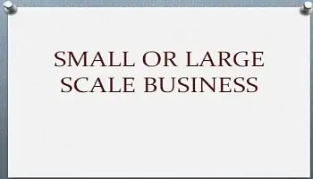 small or large scale business