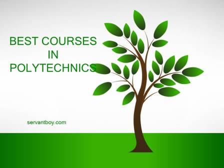 best courses in polytechnics