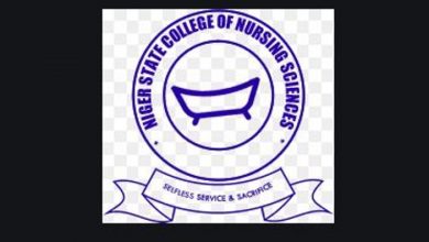 niger state college of nursing logo