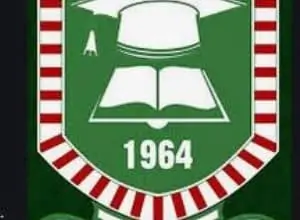adeyemi college of education logo