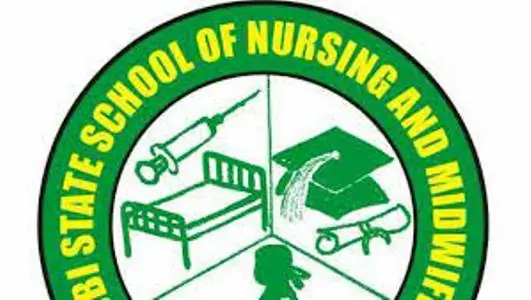 kebbi state school of nursing science logo