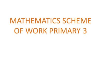 mathematics scheme of work for primary 3
