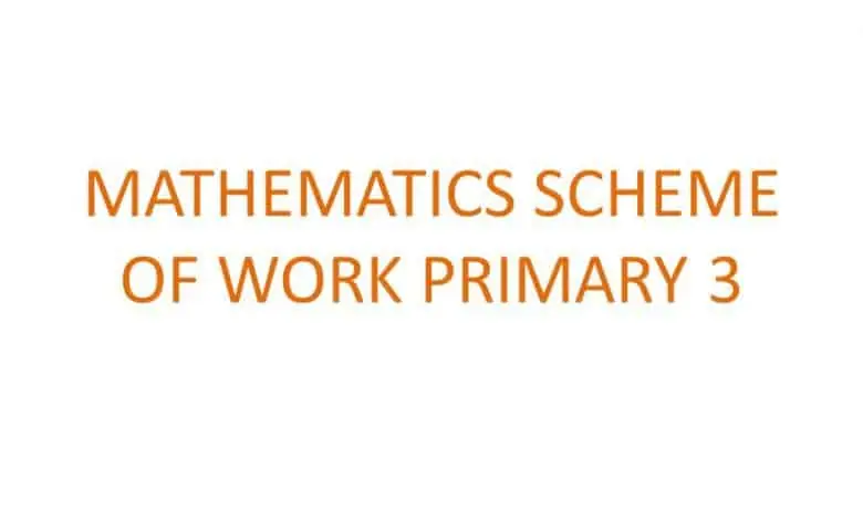 mathematics scheme of work for primary 3