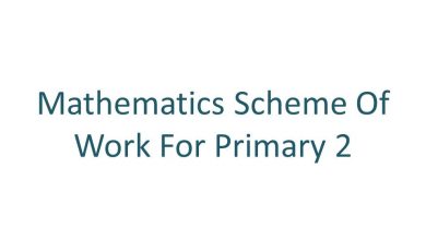 Mathematics Scheme Of Work For Primary 2