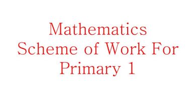 Mathematics Scheme of Work For Primary 1