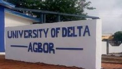 university of delta