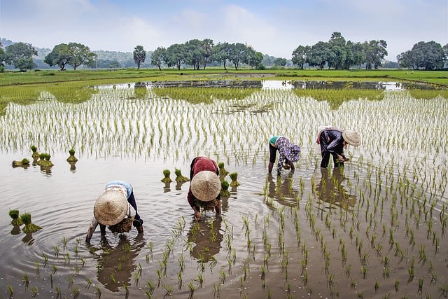 Reasons Why Farmers Are Better Than Doctors Servantboy