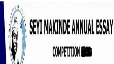 seyi makinde annual essay competition