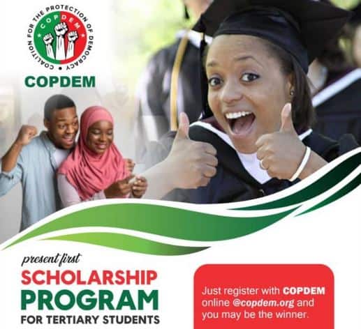 COPDEM Undergraduate Scholarship 2024
