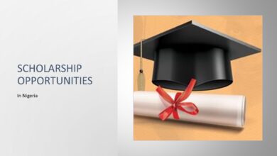 scholarship tips in nigeria