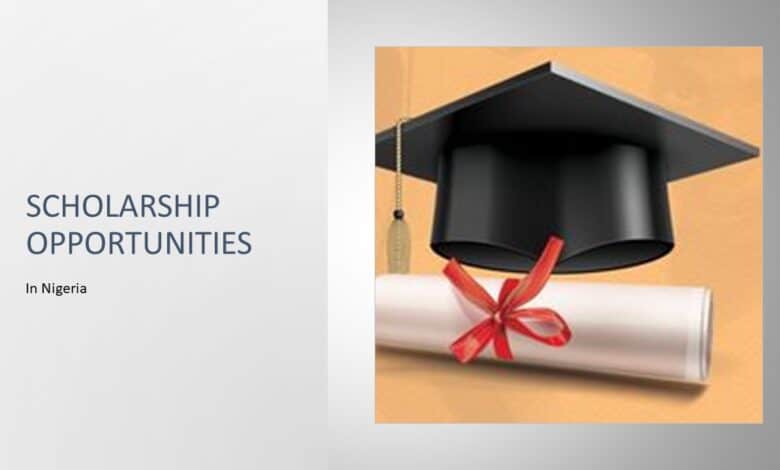 scholarship tips in nigeria